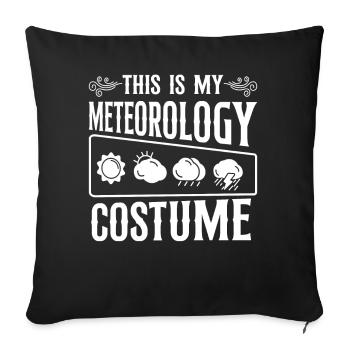 Meteorologist Weather Forecast - Sofa pillowcase 17,3'' x 17,3'' (45 x 45 cm) - black - Front
