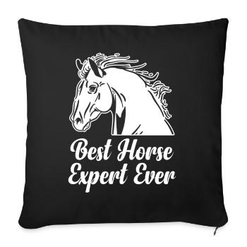 Bester Pferdeexperte Aller Zeiten Pferd Reiten - Sofakissenbezug 45 x 45 cm - Schwarz - Vorne