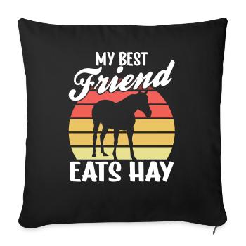 Mein Bester Freund Isst Heu Reiter Pferd Reiten - Sofakissenbezug 45 x 45 cm - Schwarz - Vorne