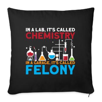 Scientist Chemist Physicist Physics Gift - Sofa pillowcase 17,3'' x 17,3'' (45 x 45 cm) - black - Front