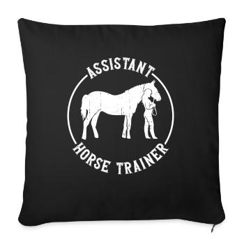 Assistant Horse Trainer - Horse Trainer Riding - Sofa pillowcase 17,3'' x 17,3'' (45 x 45 cm) - black - Front