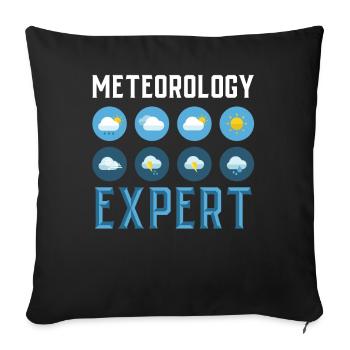 Meteorology Expert Weather Forecast Meteorologist - Sofa pillowcase 17,3'' x 17,3'' (45 x 45 cm) - black - Front