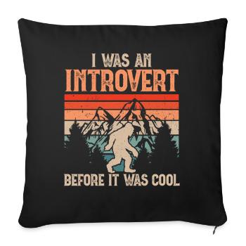 I was an Introvert before it was cool - Sofa pillowcase 17,3'' x 17,3'' (45 x 45 cm) - black - Front