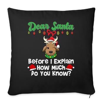 Dear Santa Before I Explain How Much Do You Know - Sofa pillowcase 17,3'' x 17,3'' (45 x 45 cm) - black - Front