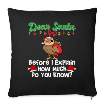 Cher Père Noël avant que j’explique combien savez-vous - Housse de coussin décorative 45 x 45 cm - noir - Devant