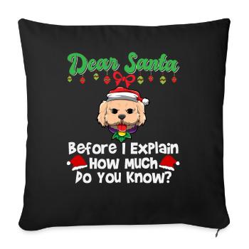 Cher Père Noël avant que j’explique combien savez-vous - Housse de coussin décorative 45 x 45 cm - noir - Devant