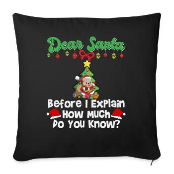 Cher Père Noël avant que j’explique combien savez-vous - Housse de coussin décorative 45 x 45 cm - noir - Devant