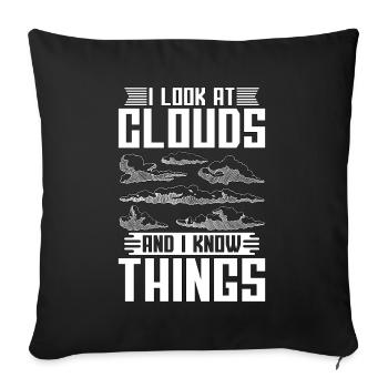 Meteorology I Look At The Forecast Meteorologist - Sofa pillowcase 17,3'' x 17,3'' (45 x 45 cm) - black - Front