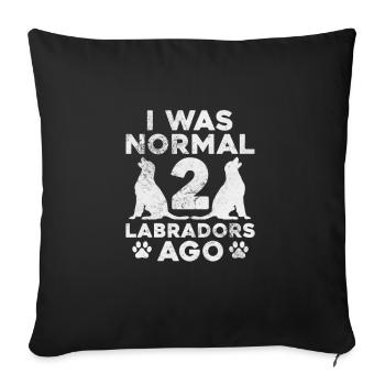 Labrador - Sofa pillowcase 17,3'' x 17,3'' (45 x 45 cm) - black - Front