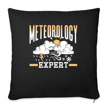 Meteorology Expert Weather Forecast Meteorologist - Sofa pillowcase 17,3'' x 17,3'' (45 x 45 cm) - black - Front