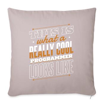 What A Really Cool Programmer Looks Like Coder - Sofakissenbezug 45 x 45 cm - helles Taupe - Vorne