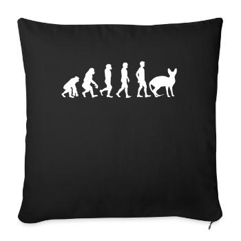 Sphynx Cat Sphynx Cat Evolution - Sofa pillowcase 17,3'' x 17,3'' (45 x 45 cm) - black - Front