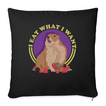 Marmottes Mankai marmotte Munggen cadeau - Housse de coussin décorative 45 x 45 cm - noir - Devant