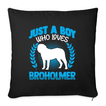 Just a boy who loves Broholmer - Sofa pillowcase 17,3'' x 17,3'' (45 x 45 cm) - black - Front