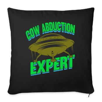 Alien, OVNI, UAP, Espace, Objet volant de l’espace - Housse de coussin décorative 45 x 45 cm - noir - Devant