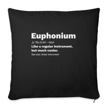 Euphonium Brass Instrument Funny Definition - Sofa pillowcase 17,3'' x 17,3'' (45 x 45 cm) - black - Front