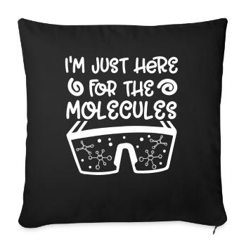 Chimiste Juste là pour les molécules Chimie Technicien chimiste - Housse de coussin décorative 45 x 45 cm - noir - Devant