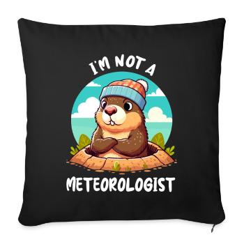 Groundhog Day USA Funny Spring - Sofa pillowcase 17,3'' x 17,3'' (45 x 45 cm) - black - Front