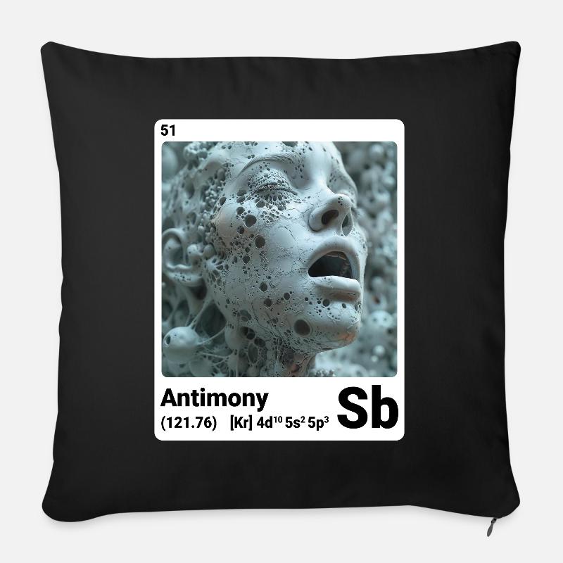 AI am Antimoine (wt) - Housse de coussin décorative 45 x 45 cm - noir