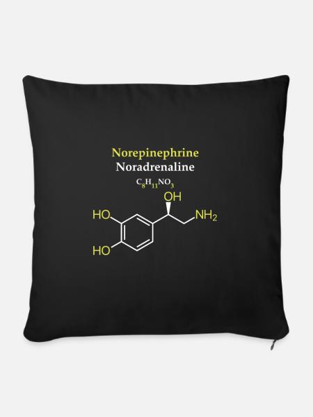 Noradrenalin-Molekül - Sofakissenbezug 45 x 45 cm - Schwarz