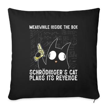 Pendant ce temps, à l’intérieur de la boîte Schrödinger Cat - Housse de coussin décorative 45 x 45 cm - noir - Devant