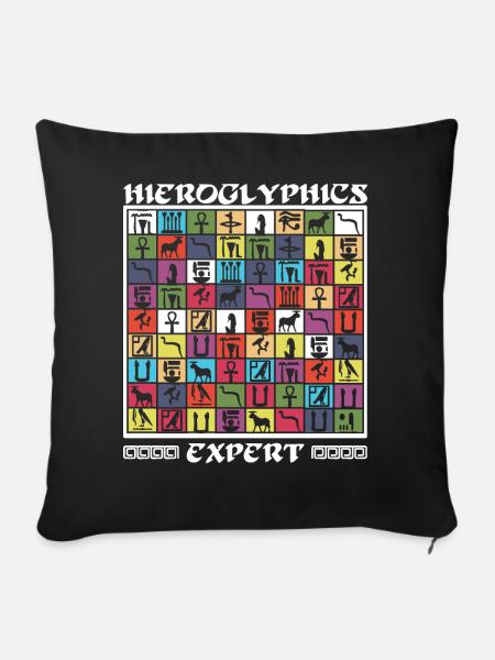 Hieroglyphen-Experte - Sofakissenbezug 45 x 45 cm - Schwarz