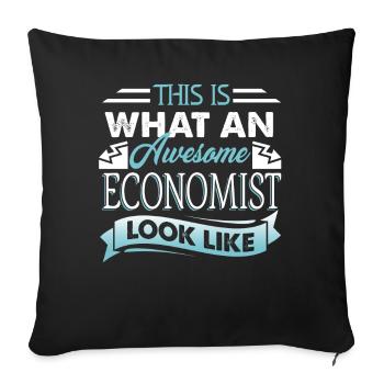 This Is What An Awesome Economist Look Like - Sofa pillowcase 17,3'' x 17,3'' (45 x 45 cm) - black - Front