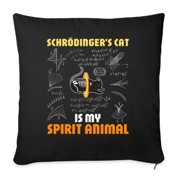 Le chat de Schrödinger : Funny Science - Housse de coussin décorative 45 x 45 cm - noir - Devant