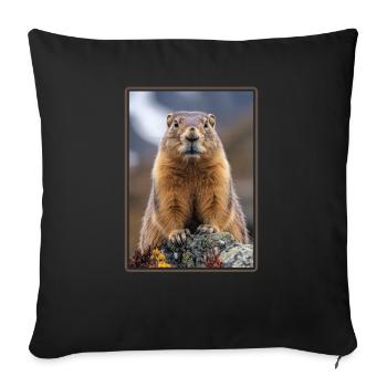 Marmots Groundhog - Sofa pillowcase 17,3'' x 17,3'' (45 x 45 cm) - black - Front