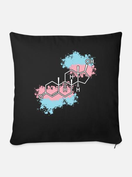 Transgender Trans LGBT Pride - Sofakissenbezug 45 x 45 cm - Schwarz
