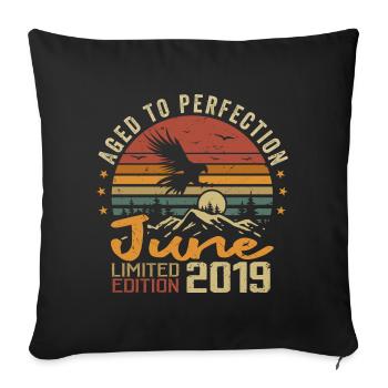 Vintage June 2019 June 2019 born in June 2019 Retro - Sofa pillowcase 17,3'' x 17,3'' (45 x 45 cm) - black - Front