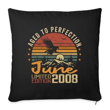 Vintage Juin 2008 Juin 2008 né en Juin 2008 Rétro - Housse de coussin décorative 45 x 45 cm - noir - Devant