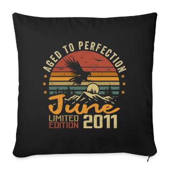 Vintage Juin 2011 Juin 2011 né en Juin 2011 Rétro - Housse de coussin décorative 45 x 45 cm - noir - Devant