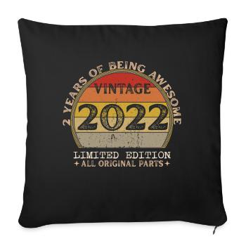Born in 2022 - Vintage 2022 Retro Birthday - Sofa pillowcase 17,3'' x 17,3'' (45 x 45 cm) - black - Front