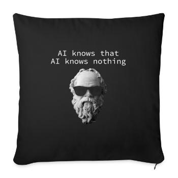 AI knows that AI knows nothing - Sofa pillowcase 17,3'' x 17,3'' (45 x 45 cm) - black - Front