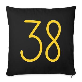 38 - Sofa pillowcase 17,3'' x 17,3'' (45 x 45 cm) - black - Front