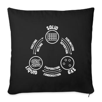Diagramme de phases Physique Chimie Physicien Chimiste - Housse de coussin décorative 45 x 45 cm - noir - Devant