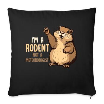 I'm A Rodent Not A Meteorologist Rodent Animal - Sofa pillowcase 17,3'' x 17,3'' (45 x 45 cm) - black - Front