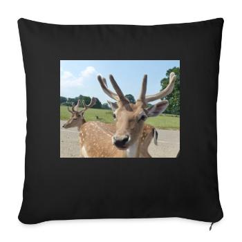 Close up of a Deer - Sofa pillowcase 17,3'' x 17,3'' (45 x 45 cm) - black - Front