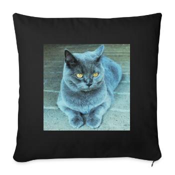 Gray Blue Cat with Golden Eyes - Sofa pillowcase 17,3'' x 17,3'' (45 x 45 cm) - black - Front