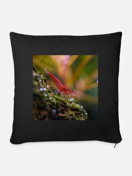 Rote Garnele - Sofakissenbezug 45 x 45 cm - Schwarz