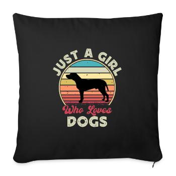 Braque Du Bourbonnais Chien Silhouette Rétro Coucher de Soleil - Housse de coussin décorative 45 x 45 cm - noir - Devant