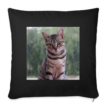 Cat Kitten Poster Square Cat Poster - Sofa pillowcase 17,3'' x 17,3'' (45 x 45 cm) - black - Front