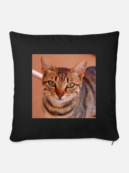 Katze Kätzchen Poster quadratisch Katzenposter - Sofakissenbezug 45 x 45 cm - Schwarz