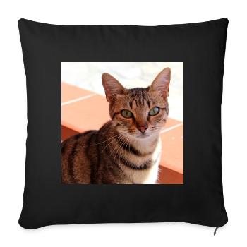 Cat Kitten Poster Square Cat Poster - Sofa pillowcase 17,3'' x 17,3'' (45 x 45 cm) - black - Front