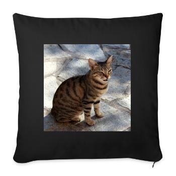 Cat Kitten Poster Square Cat Poster - Sofa pillowcase 17,3'' x 17,3'' (45 x 45 cm) - black - Front