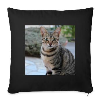 Chat chaton affiche chat carré affiche - Housse de coussin décorative 45 x 45 cm - noir - Devant