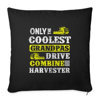 Harvest farmer vegetables - Sofa pillowcase 17,3'' x 17,3'' (45 x 45 cm) - black - Front