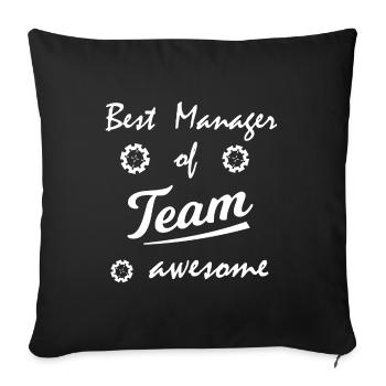 The Team Manager - Sofa pillowcase 17,3'' x 17,3'' (45 x 45 cm) - black - Front