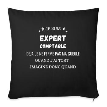 I am a Chartered Accountant - Sofa pillowcase 17,3'' x 17,3'' (45 x 45 cm) - black - Front